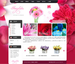 礼品、玩具、工艺品