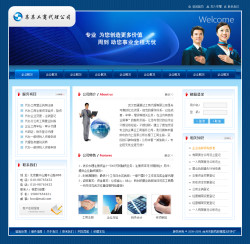 咨询、策划、翻译